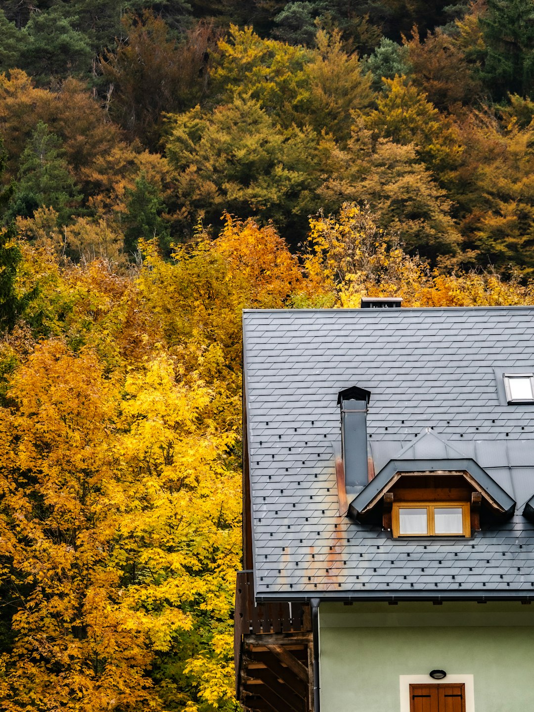Mastering the First Impression: Your intriguing post title goes here a-house-with-a-dormer-window-against-autumn-trees-hl4yvwxfaxe